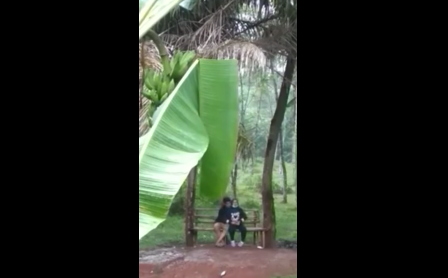 Rare Offers Remaja Indonesia Viral Udara Dingin Di Kamar